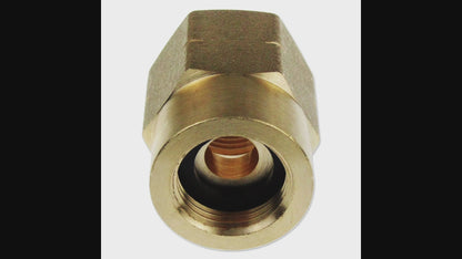 ADAPTATEUR FEMELLE POUR BOUTEILLE DE GAZ BUTANE VERS GPL PROPANE POL SI LH RACCORD LH 21,8mm