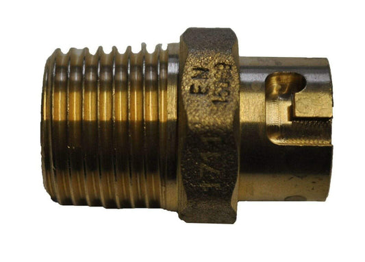 Socket Brass Cooker Hose Fitting